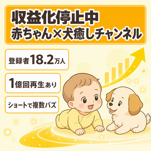 訳あり【約１億/約3600万/約2200万再生などのバズショート保有】【登録者数 18万2千人】赤ちゃんと犬の癒し系ジャンル ＊収益化停止中