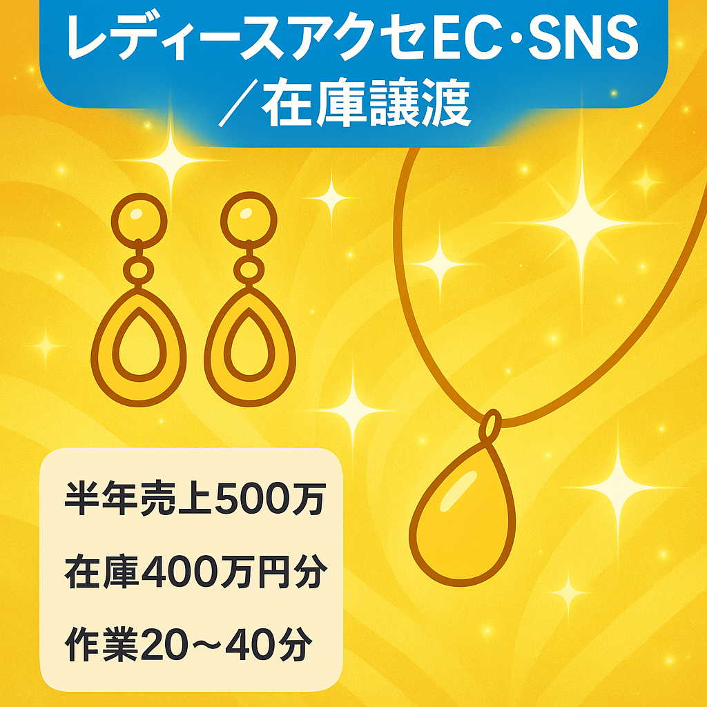 【半年間で売り上げ500万円以上】レディースアクセサリーECサイト・SNS・在庫譲渡/SNSフォロワー9000人/原価率80%超えの高利益商材です