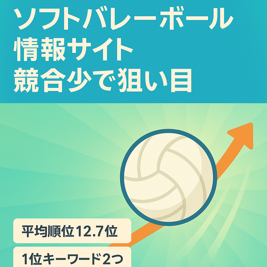 スポーツでもかなりニッチなソフトバレーボール！ライバルが少ないのでまだまだ狙えるサイト